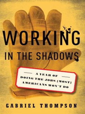 cover image of Working in the Shadows